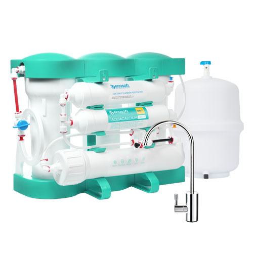 Ecosoft P'URE AquaCalcium Mint Reverse Osmosis Filter 75 GPD With Pressure Tank